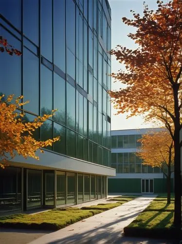 njitap,office building,bocconi,fachhochschule,company headquarters,ubc,fraunhofer,krannert,technopark,eskenazi,office buildings,lankenau,fachhochschulen,glass facade,imec,headquarter,neukom,rit,eisenman,dcci,Photography,Documentary Photography,Documentary Photography 15