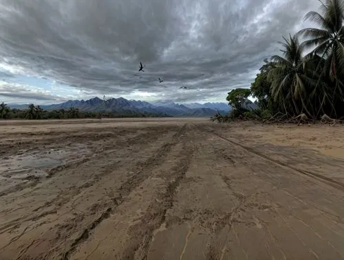 add a couple of macaws flying far away,360 ° panorama,kelud,kosrae,pinatubo,hinchinbrook,photosphere,virtual landscape,kaneohe,tracks in the sand,nuuausala,monsoonal,pinhole,lakebed,road cover in sand