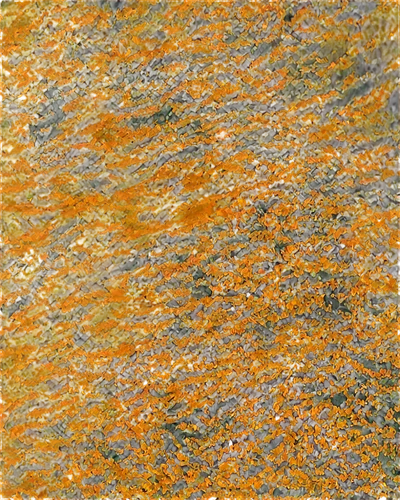 venus surface,cirrocumulus,geoglyphs,road surface,striae,kngwarreye,napaltjarri,abstract gold embossed,ripple marks,watercolour texture,sargassum,undulatus,pavement,bryozoans,nasca plateau,koli bacteria,pintada,trichophyton,gold paint strokes,sediment,Illustration,Abstract Fantasy,Abstract Fantasy 19