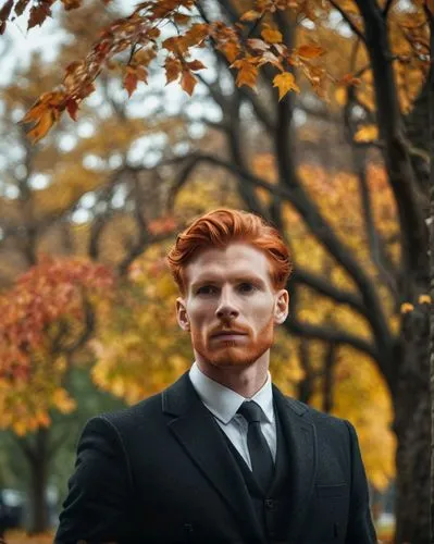 gingrichian,ranga,sheamus,ginger rodgers,zebrowski,hux,Photography,General,Cinematic