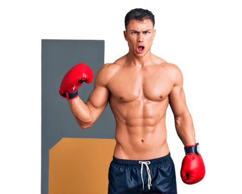 bodybuilding supplement,boxing gloves,boxing glove,kickboxing,boxing equipment,kettlebell,punching bag,kettlebells,shoot boxing,professional boxer,combat sport,striking combat sports,boxing,male model,boxer,male poses for drawing,athletic body,fitness coach,professional boxing,body building,Art,Classical Oil Painting,Classical Oil Painting 37