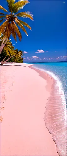 tropical beach,caribbean beach,white sandy beach,caribbean,cook islands,caribbean sea,white sand beach,dream beach,the caribbean,beautiful beaches,beautiful beach,grenadines,beach landscape,tropical sea,deserted island,aitutaki,paradise beach,lakshadweep,antilles,mauritius,Unique,Paper Cuts,Paper Cuts 02