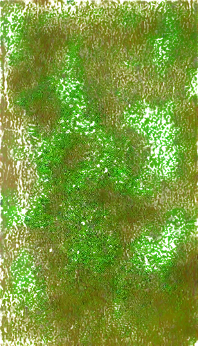 cyanobacteria,chlorophyll,green bubbles,green folded paper,green tree phyton,green wallpaper,green tree,photosynthetic,green skin,generated,fir green,gradient blue green paper,duckweed,leaf green,chameleon abstract,green grain,green leaf,greensleeves,wavelet,fluorescently,Conceptual Art,Daily,Daily 07