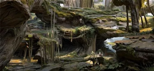 kashyyyk,caves,swampy landscape,paleoenvironment,karst landscape,elven forest,caverns,ravines,ravine,dagobah,rivendell,endor,cave,yavin,moss landscape,stalagmites,cavernosum,sea caves,cavern,outcrops