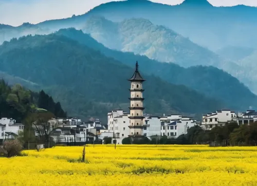 the valley of flowers,guizhou,berchtesgadener land,alpine pastures,canton of glarus,alpine region,pieniny,eastern switzerland,shaanxi province,sapa,südtirol,lake lucerne region,ramsau,bavarian swabia,southeast switzerland,south-tirol,east tyrol,yunnan,austria,nebellandschaft