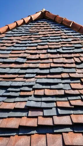 roof tiles,roof tile,tiled roof,shingled,slate roof,roof plate,house roof,roofing work,roofing,house roofs,roof landscape,clay tile,shingles,shingling,roofline,the roof of the,roofer,the old roof,roof panels,repointing,Illustration,Abstract Fantasy,Abstract Fantasy 01