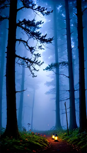 foggy forest,haunted forest,forest background,cartoon video game background,foggy landscape,forest,the forest,halloween background,autumn forest,autumn fog,forest landscape,ghost forest,forest of dreams,forest path,forest dark,dense fog,forests,dusk background,fog,forest road,Art,Classical Oil Painting,Classical Oil Painting 11