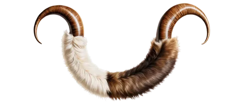 shofar,horns,antelope,swan feather,ankole,mouflon,uraeus,ibex,tahr,horn,bighorn,ercp,goat horns,blesbok,tubas,fanfare horn,krugerrand,nassarius,horseshoe,eardwulf,Illustration,Realistic Fantasy,Realistic Fantasy 21