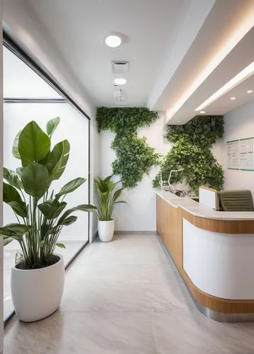 envirocare,modern office,phototherapeutics,green plants,greentech,ficus,philodendrons,assay office,planta,offices,bureaux,medibank,periodontist,ecotech,houseplants,planters,agrosciences,money plant,ecolab,daylighting,Illustration,Black and White,Black and White 29