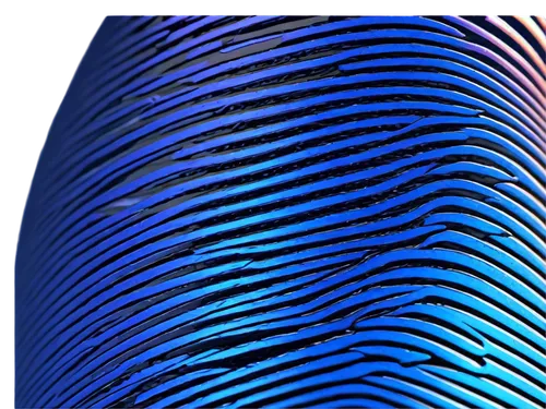 fingerprint,fingerprints,thumbprint,biometrics,digital identity,gradient mesh,authentication,virtual identity,blue sea shell pattern,barcode,euploea core,fingernail polish,surfboard fin,mermaid scales,personal data,bottle surface,mermaid scales background,bar code scanner,retina nebula,hand detector,Conceptual Art,Daily,Daily 23