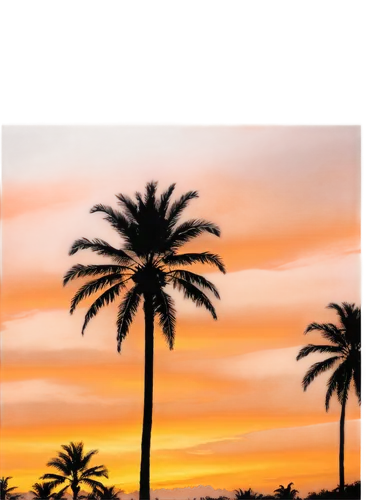 palm tree vector,palm tree silhouette,palm silhouettes,date palms,palmtrees,watercolor palm trees,palms,royal palms,two palms,palm trees,palmtree,mallorca,florida,palm tree,desert palm,date palm,wine palm,palm forest,maspalomas,arizona,Illustration,Realistic Fantasy,Realistic Fantasy 41