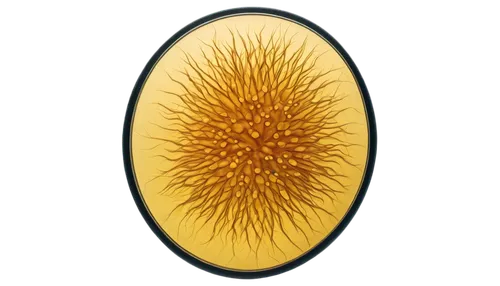 sea anemone,yellow anemone,calliostoma,mushroom coral,pappus,chrysanthemum background,ferrofluid,banksia,flaccid anemone,liposome,sea urchin,liposomes,sporangium,ciliate,large anemone,ray anemone,star anemone,spiny sea shell,radiolarian,wiwaxia,Art,Classical Oil Painting,Classical Oil Painting 11