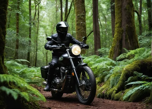 Amidst a dense forest, a black motorcycle effortlessly navigates through rugged terrain, a thrilling adventure awaiting its rider.,black motorcycle,motorcycle tours,redwoods,enduro,hooded man,forest m