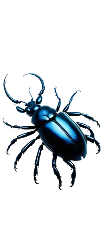 scarab,bioluminescence,sapidus,scarabs,webcrawler,weevil,fire beetle,eega,insectoid,azureus,diadem spider,auratus,carabus,anansi,lucanus,blue-winged wasteland insect,bioluminescent,brush beetle,lab mouse icon,pseudagrion,Conceptual Art,Sci-Fi,Sci-Fi 19