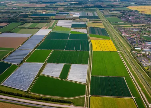 Nederland, Zuid-Holland, Gemeente Westland, 14-09-2019; Glazen stad, Kassengebied Westland, omgeving 's-Gravenzande.<br /> Greenhouses area in the West of the Netherlands, the heart of the production 