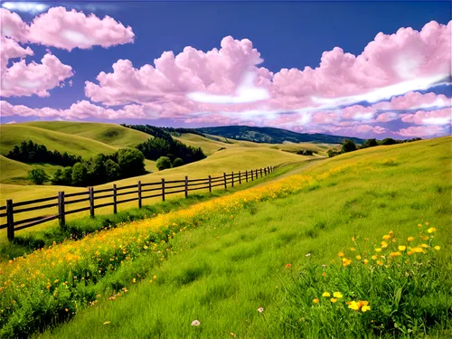 meadow landscape,grasslands,rolling hills,landscape background,pasture fence,mountain meadow,grassland,salt meadow landscape,rural landscape,beautiful landscape,springtime background,ranchland,hills,nature background,alpine meadows,grassfields,meadow in pastel,background view nature,nature landscape,landscape nature,Photography,Documentary Photography,Documentary Photography 16