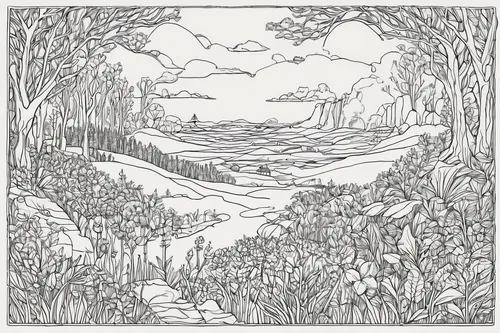 swampy landscape,coloring page,brook landscape,fruit fields,elven forest,riparian forest,karst landscape,coloring pages,mangroves,hand-drawn illustration,forests,wetland,forest landscape,the forests,woodcut,line-art,mono-line line art,vegetable field,terrain,floodplain,Illustration,Black and White,Black and White 26