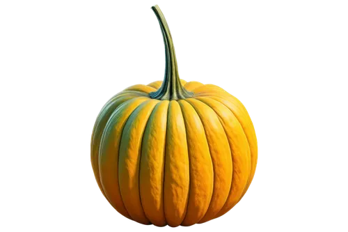 white pumpkin,calabaza,gourd,decorative pumpkins,neon pumpkin lantern,pumpkin lantern,cucurbita,pumpkin autumn,hokkaido pumpkin,decorative squashes,pumpkin,muskmelon,gourds,pumkin,pumpkin flower,pumpsie,ornamental gourds,kirdyapkin,halloween pumpkin,autumn pumpkins,Illustration,Paper based,Paper Based 16