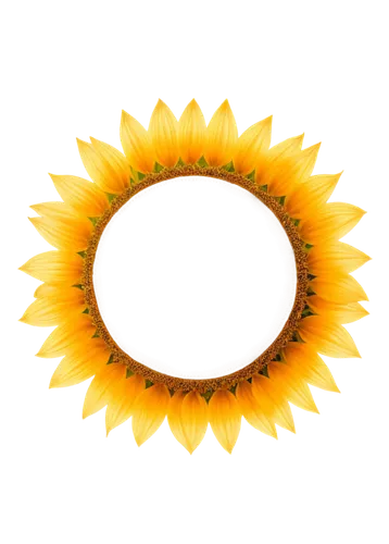 sunflower lace background,wreath vector,flowers png,flower wreath,sunflower paper,blooming wreath,yellow gerbera,small sun flower,helianthus sunbelievable,helianthus,floral wreath,sunburst background,floral silhouette frame,sun flower,sunflower,floral silhouette wreath,sun,circle shape frame,wreath of flowers,yolk flower,Conceptual Art,Daily,Daily 05