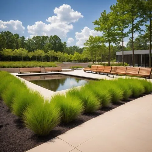 Landscape architecture, Raleigh NC, sunny day, blue sky, fluffy white clouds, modern buildings, sleek lines, green roofs, lush vegetation, vibrant flowers, walking paths, wooden benches, urban park, c