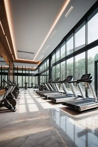 fitness room,fitness center,technogym,fitness facility,leisure facility,ellipticals,precor,elitist gym,treadmills,gyms,treadmill,gymnase,gimnasio,sportsclub,workout equipment,spor,stairmasters,exercices,elliptical,wellness,Art,Artistic Painting,Artistic Painting 51