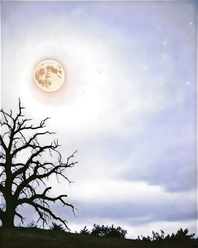 moon and star background,moonlit night,jupiter moon,night sky,night scene,moonbow,moon night,moon at night,moon and star,full moon,the night sky,moonlit,moonbeams,moonta,starclan,ratri,moonwatch,big moon,nightsky,night image,Illustration,Realistic Fantasy,Realistic Fantasy 47