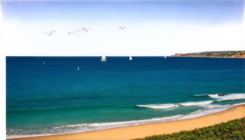 flying sea gulls,coogee,sailboats,terrigal,hendaye,sea gulls,cannes,sailing boats,collaroy,silver gulls,algarrobo,capbreton,windsurfers,queenscliff,mona vale,biplanes,arcachon,sails of paragliders,swanbourne,algarves,Conceptual Art,Daily,Daily 26