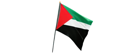 Palestinian flag, waving, triangular shape, black, white, green, red colors, detailed fabric texture, gentle breeze, morning sunlight, 3/4 composition, shallow depth of field, vibrant color tone, cine