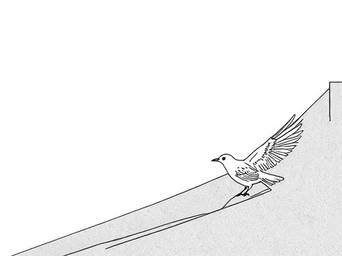 a bird on a line drawing a tight corner,ski jump,skijump,take-off of a cliff,halfpipe,gnome skiing,slope,Design Sketch,Design Sketch,Rough Outline