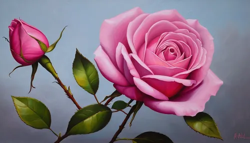 pink rose,oil painting on canvas,bibernell rose,pink roses,landscape rose,rosa,noble roses,hybrid tea rose,oil painting,regnvåt rose,rosebud,bicolored rose,corymb rose,flower painting,noble rose,romantic rose,bella rosa,rose flower illustration,rose bloom,rosebush,Illustration,Vector,Vector 05