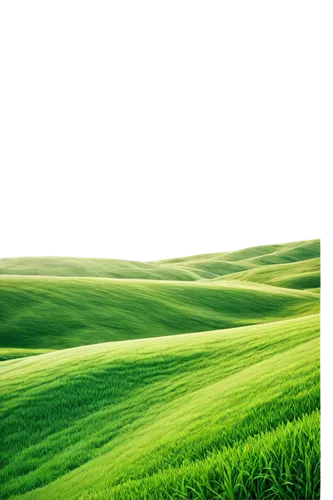 green wallpaper,green landscape,green background,green,greenness,green fields,patrol,windows wallpaper,nature background,verdant,green grain,aaaa,green grass,greener,greenie,green wheat,landscape background,green meadow,aaa,greeno,Photography,Black and white photography,Black and White Photography 01