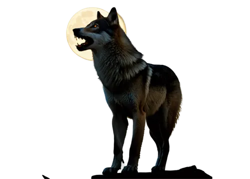 howling wolf,blackwolf,constellation wolf,aleu,loup,werewolve,wolfen,gray wolf,wolfsangel,european wolf,wolfdog,lycanthropy,wolf,moonshadow,lycanthrope,graywolf,werwolf,black shepherd,wolfgramm,werewolves,Conceptual Art,Fantasy,Fantasy 07