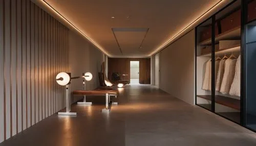 hallway space,hallway,fesci,minotti,associati,foscarini,interior modern design,corten steel,anastassiades,luminaires,andaz,amanresorts,fromental,modern room,contemporary decor,corridor,mahdavi,daylighting,corian,corridors,Photography,General,Realistic