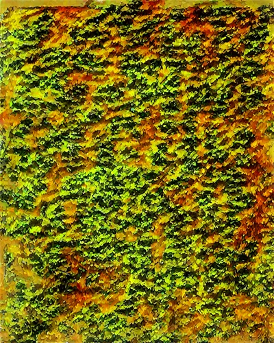 textile,fabric texture,corrugations,basket fibers,fibers,felted and stitched,carpet,embroils,geoglyphs,degenerative,topographer,puccinia,biofilm,moquette,felted,striae,felting,dishrag,color texture,bryophyte,Illustration,Black and White,Black and White 29