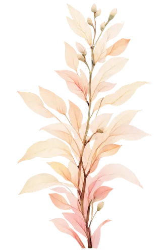 watercolor leaves,watercolour leaf,watercolor leaf,flowers png,palm lily,pink quill,foliage coloring,soft coral,oleander,fireweed,leaf fern,tuberose,amaranth family,candy cane sorrel,spring leaf background,gold-pink earthy colors,palm leaf,tropical leaf,amaranth,pineapple lily,Art,Artistic Painting,Artistic Painting 38