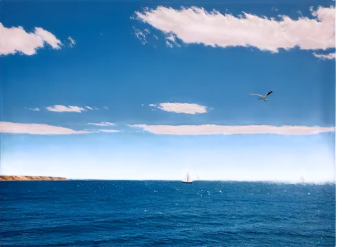 ocean background,blue sea,polarizer,flying sea gulls,rovinj,sailing blue yellow,seagull in flight,windows wallpaper,groix,esterel,shades of blue,quiberon,dolphin background,block island,sailing blue purple,the mediterranean sea,ionian sea,seagull flying,greenspond,coogee,Photography,Black and white photography,Black and White Photography 11