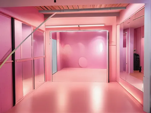 hallway space,gymnastics room,pink vector,hallway,beauty room,ufo interior,room divider,pink paper,wall,changing room,corridor,changing rooms,interior design,pink squares,dressing room,creative office,meeting room,3d render,walk-in closet,offices,Photography,General,Realistic