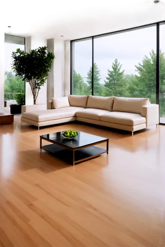 hardwood floors,wood floor,hardwood,wooden floor,flooring,laminated wood,sapwood,wood deck,hardwoods,modern living room,wood-fibre boards,interior modern design,wooden decking,natural wood,living room,sapele,minotti,contemporary decor,search interior solutions,rovere,Illustration,American Style,American Style 04