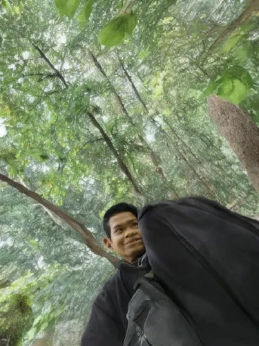 boonmee,photosphere,photogrammetry,shenmue,forest man,hutan