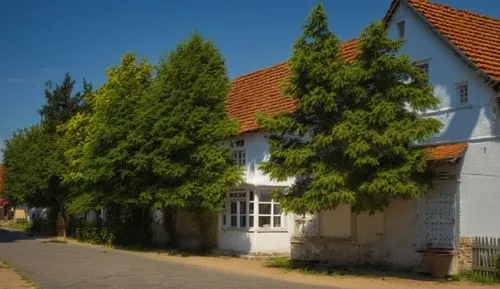 exzenterhaus,uckermark,townhouses,half-timbered houses,row of houses,half-timbered house,town buildings,cottages,old houses,hiddensee,block of houses,danish house,traditional house,half-timbered wall,