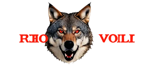 derivable,schindewolf,wolfsangel,werewolve,atunyote,wolffian,pyote,wolpaw,wolf,wolfgramm,wolstein,wolfish,wolfskill,wolfed,wolfen,wolf bob,werwolf,huskic,lobo,aleu,Photography,Black and white photography,Black and White Photography 05