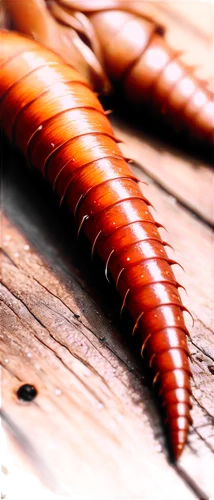 Close-up, macro shot, brown roach feces, irregular shape, glossy texture, detailed tiny hairs, dark brown color, creamy white highlights, shallow depth of field, high contrast lighting, 1/2 compositio