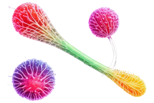 Microscopic, bacteria cells, various shapes, colorful stains, transparent background, 3D illustration, high magnification, detailed texture, rod-shaped, spherical, helical, flagella, pili, biofilm, gl