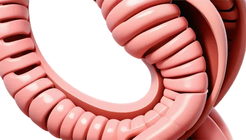 helical,coronary vascular,intestines,aorta,coronary artery,semicircular,human internal organ,rmuscles,medical illustration,circulatory,laryngectomy,digestive system,extension ring,inflatable ring,rib cage,volute,curved ribbon,sacral,reflex foot esophagus,jawbone,Art,Artistic Painting,Artistic Painting 45