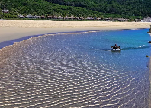 andaman sea,aerial view of beach,phuket province,klong prao beach,phuket,koh phi phi,phu quoc island,carbis bay,white sand beach,natuna indonesia,castaway beach,phu quoc,shipwreck beach,nha trang,elba island,sardinia,philippines scenery,fraser island,white sandy beach,kohphangan,Illustration,Paper based,Paper Based 14