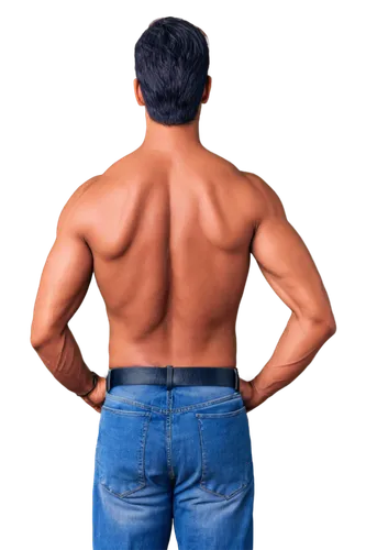 my back,backs,lordosis,backsides,latissimus,connective back,muscularity,premaxillae,back pain,trapezius,muscle angle,body building,kyphosis,back view,musculature,posterior,baby back view,woman's backside,deltoid,pullbacks,Illustration,Paper based,Paper Based 10