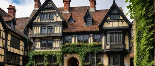 colmar,canterbury,alsace,timbered,half timbered,half-timbered houses,half-timbered house,half-timbered wall,elizabethan manor house,colmar city,hildesheim germany,timber framed building,shrewsbury,dumanoir,cecilienhof,ledbury,strasbourg,jacobean,lavenham,agecroft,Illustration,Retro,Retro 05