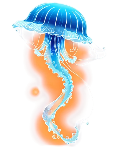 jellyfish,tunicate,jellyfishes,yamatai,toriko,cnidaria,sea jellies,kujira,dancing flames,witch's hat icon,luminol,oriental lantern,mermaid silhouette,ecolo,wisp,garrison,firedancer,coral charm,noodle image,mermaid background,Unique,Design,Infographics