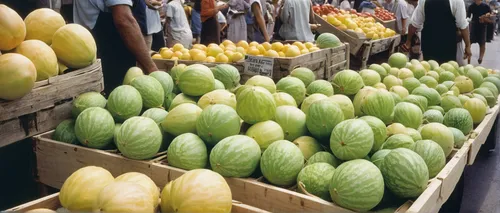 Transport the reader to a bustling farmers' market where vendors proudly display their ripe honeydew melons.,vegetable market,muskmelon,market vegetables,cucumber  gourd  and melon family,fruit market