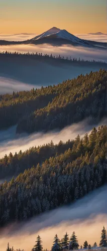 The first rays of the sun skip across the fog to spotlight the foreground trees on Goodnow Mountain.,ore mountains,northern black forest,bavarian forest,fog banks,vermont,bieszczady,foggy mountain,fog